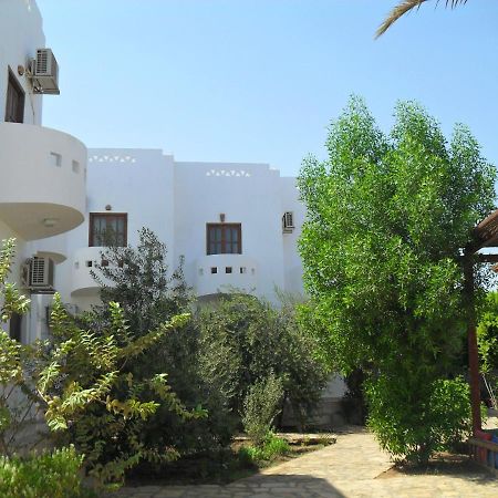 Alaska Camp & Hotel Dahab Ruang foto